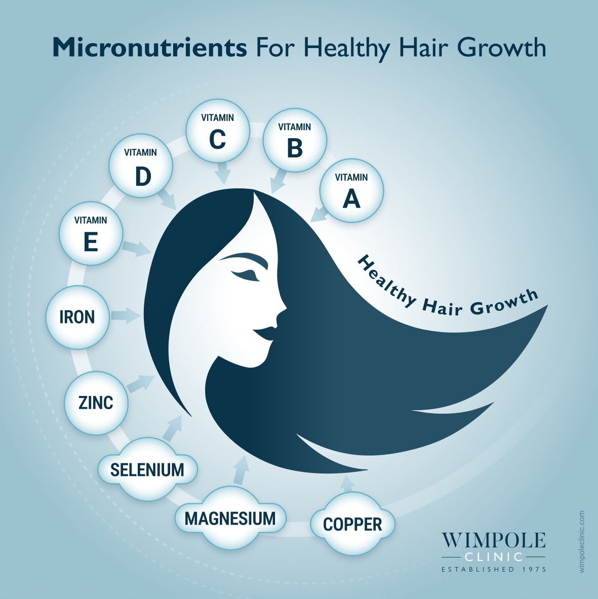 Micronutrients for Health hair Growth