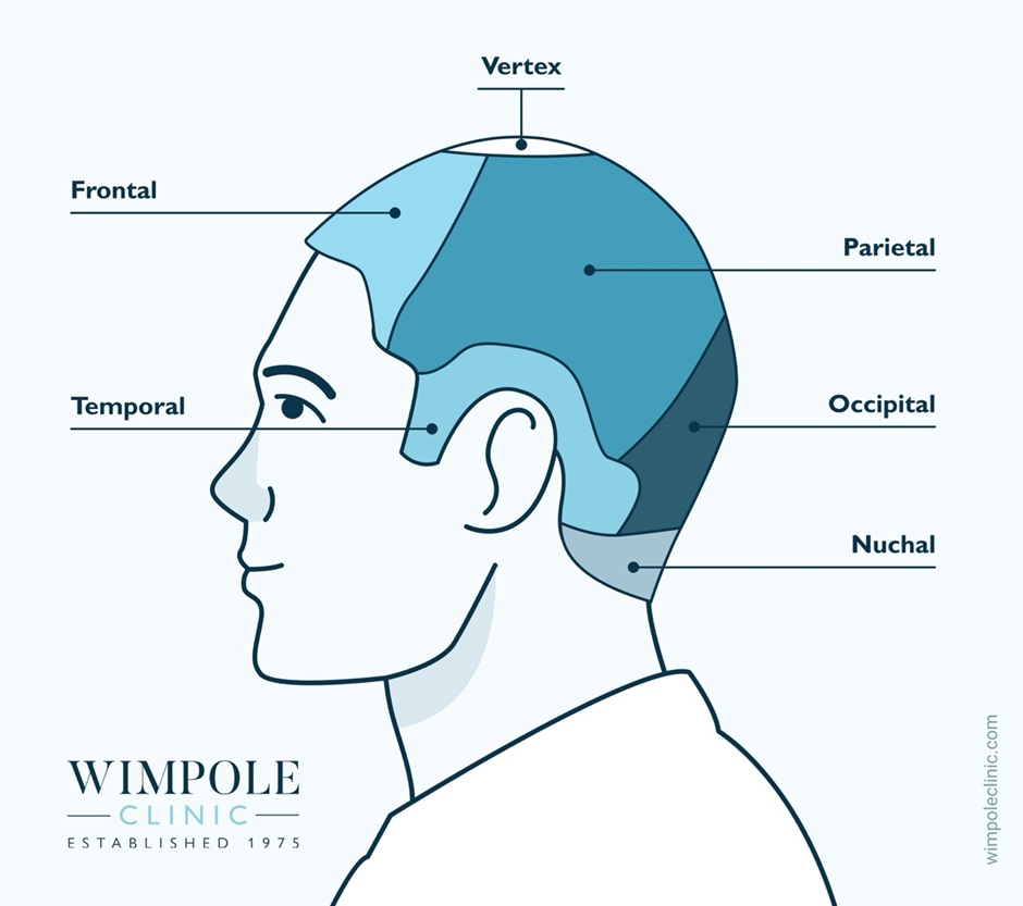 areas of the scalp