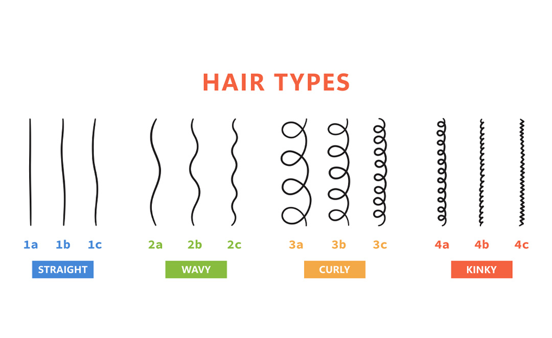 Informational graphic showing the various forms of hair types