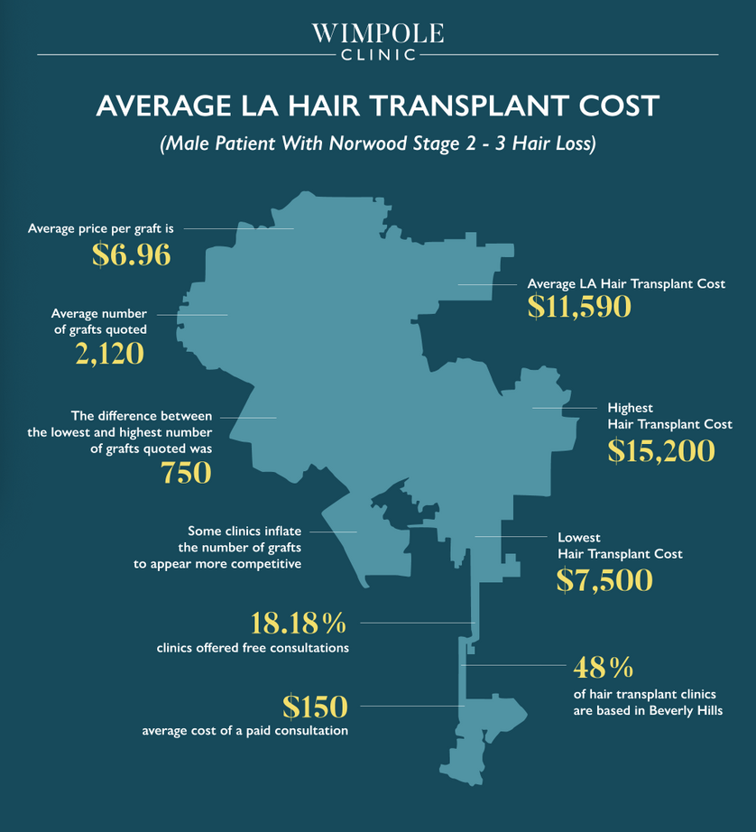 Los Angeles Hair Transplant Cost Complete Analysis 2022 Wimpole Clinic
