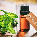 Peppermint Oil For Hair: Benefits, Uses, And Side Effects