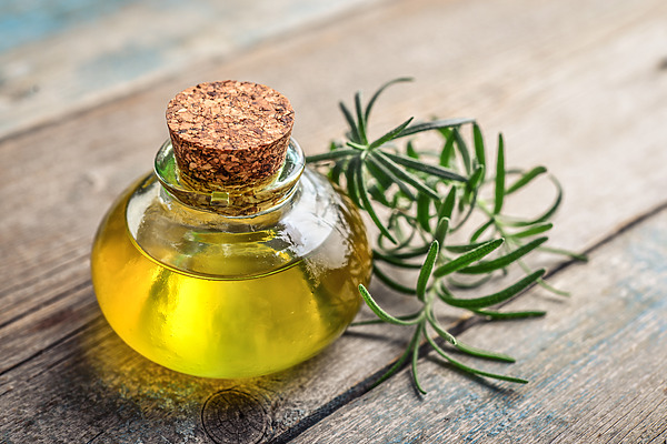 rosemary oil for hair featured image