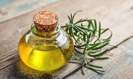 Rosemary Oil For Hair Featured Image