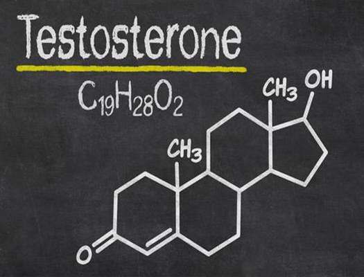 Does Low Testosterone Cause Hair Loss Featured Image