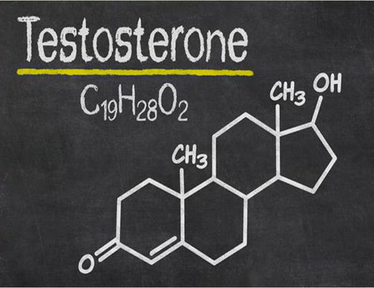 Does Low Testosterone Cause Hair Loss Featured Image