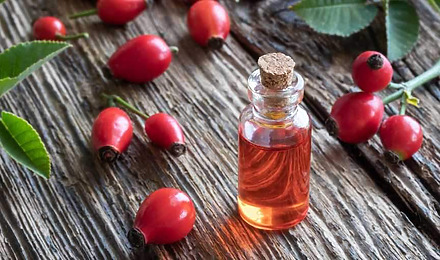 Is Rosehip Oil Good For Hair Featured Image