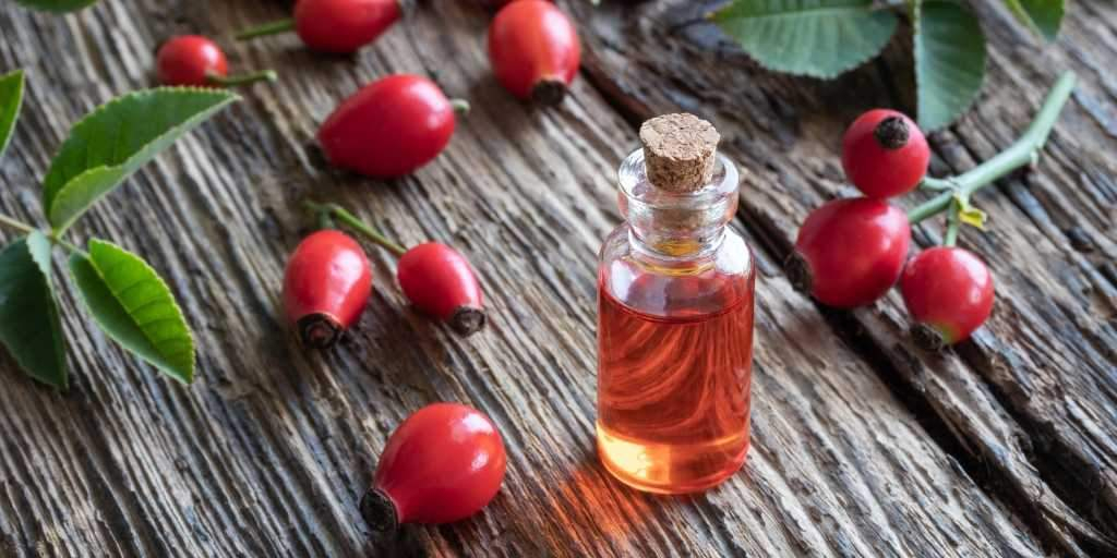 is rosehip oil good for hair featured image