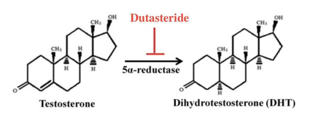 Chemical structure of Dutasteride and DHT