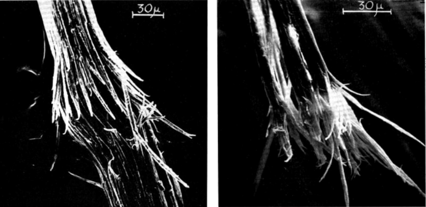 damage to hair strands on the microscopic level