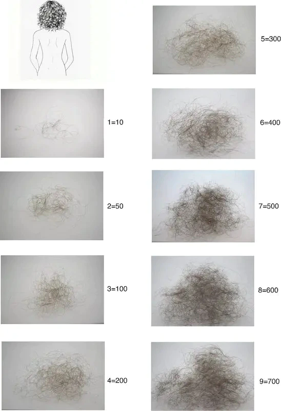 visual representation of hair loss bundles of various lengths