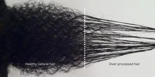 healthy hair vs. over processed hair