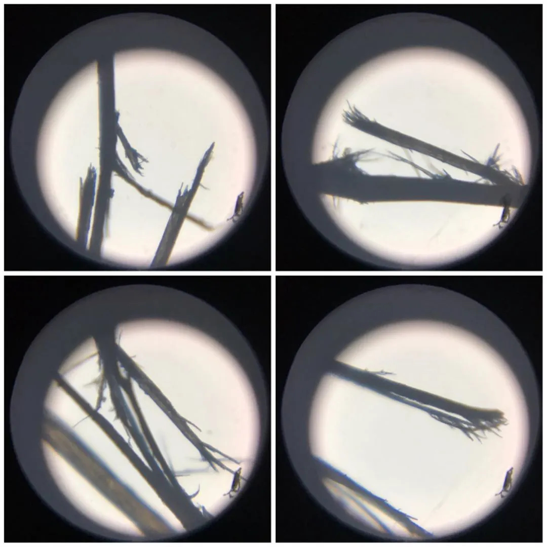 split ends under a microscope