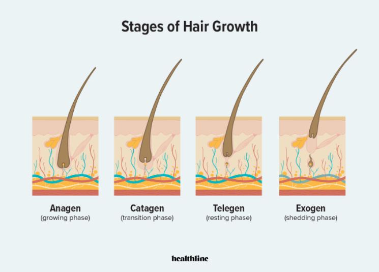 Can shampoos cause hair loss?, Wimpole Clinic