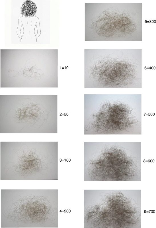 hair shedding visual scale