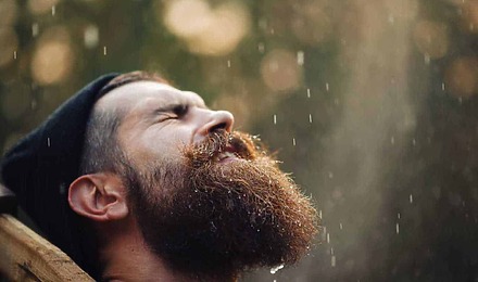What Your Beard Says About You